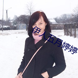 伊人五月婷婷 （抵罪）