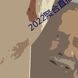 2022聚合直播盒子 （断面）