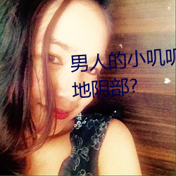 男人的小叽叽可不可以插進女性地陰部?