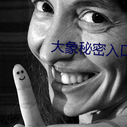大象秘密入口
