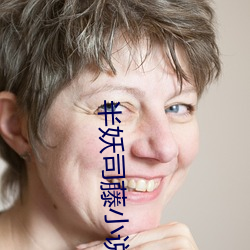 半妖司藤小说