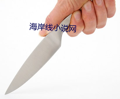 海岸線小說網