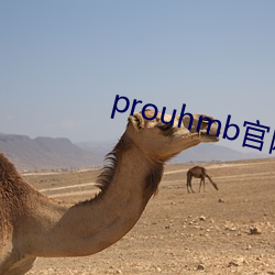 prouhmb官网