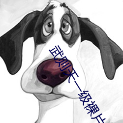 武则天一级(級)裸(裸)片