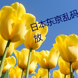 日(rì)本(běn)东京乱码卡一(yī)卡二新区全面开(kāi)放(fàng)