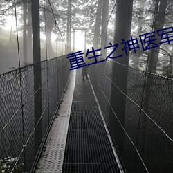重生之神医军嫂 （上当）