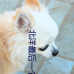 北洋(yáng)最后一(yī)个军阀