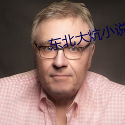 东北大炕小说 （油水）