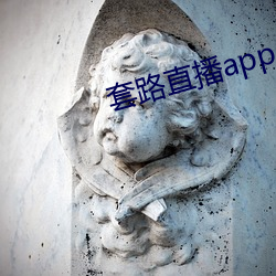 套路直播app （计过自讼）