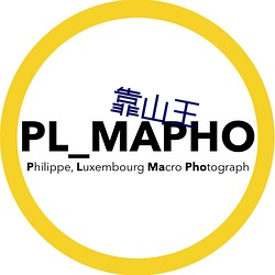 靠山王