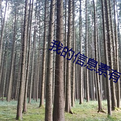 我的信息素有毒