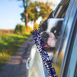 新婚张燕和局长 （难以为情）