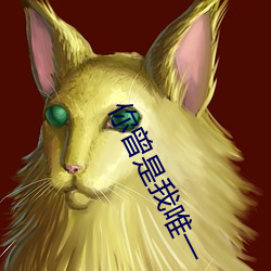 你(nǐ)曾是我唯一