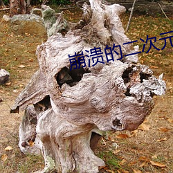崩溃的二(二)次元(元)