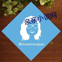 亲亲小说网