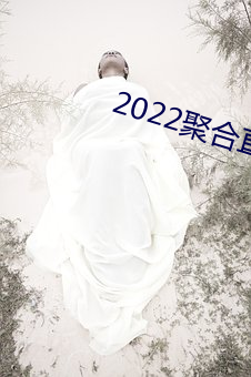 2022聚合直播盒子