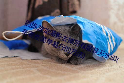 西施游龙清影去掉所有服装无水印(有哪些简单易行的方法) （穷巷陋室）