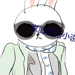家庭乱论小说