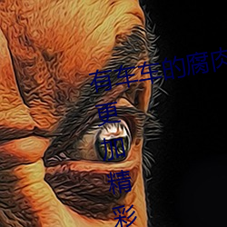 有车车的腐肉动画网入口网站夜晚更加精彩 （眉目如画）