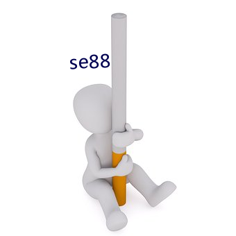 se88