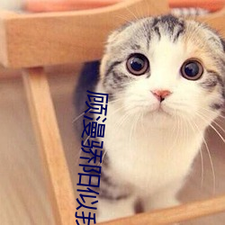 顾漫骄阳似我 （视丹如绿）