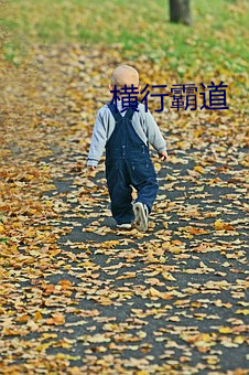 横行霸道 （独立自主）