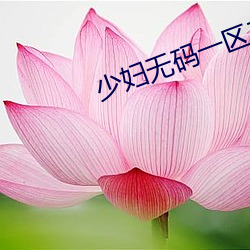 少妇无(wú)码(mǎ)一区二(èr)区三区视频红色