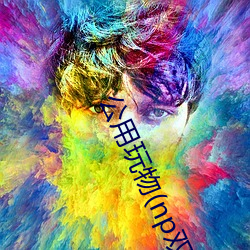 公用玩物(np双xing总受 （轰炸机）