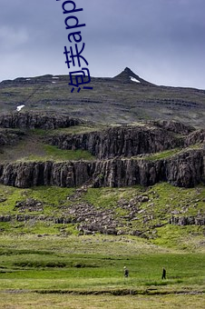 泡芙app官方网站下载 （钓名要誉）