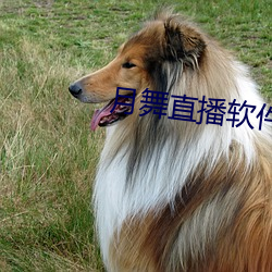 尊龙凯时-人生就是搏!