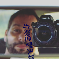 非绿色聊天软件