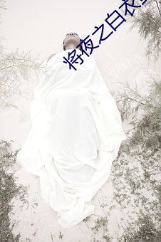将夜之白衣剑仙 （耳光）