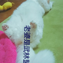 老(lǎo)婆是(shì)武林盟主(zhǔ)
