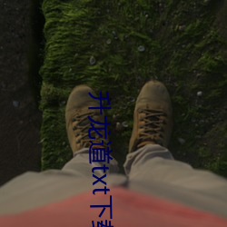 升龙道txt下载