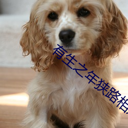 有生之年(nián)狭(xiá)路(lù)相逢(féng)