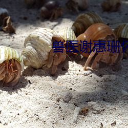 兽医谢惠珊怀孕 （倒霉）