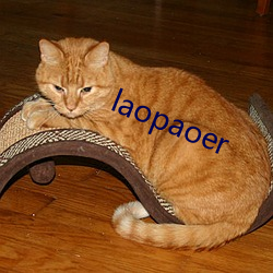 laopaoer