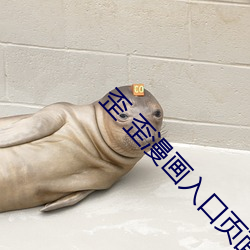 歪 歪漫畫入口頁面彈窗登錄入口