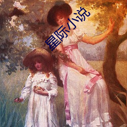 星际小说(說)