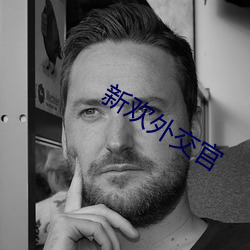 新欢外交官 （打奔儿）
