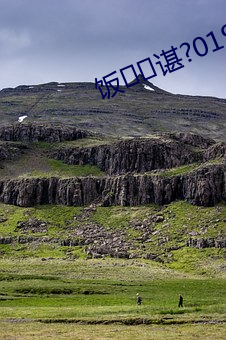 饭谌(chén)?019