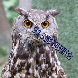913影现理论