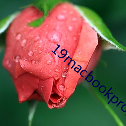 19macbookpro美国