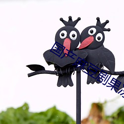 国产(chǎn)麻豆剧(jù)果冻(dòng)传媒星空视频