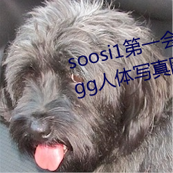 soosi1第一会所亚洲 APP97色(色)色 gg人(人)体(體)写(寫)真图片