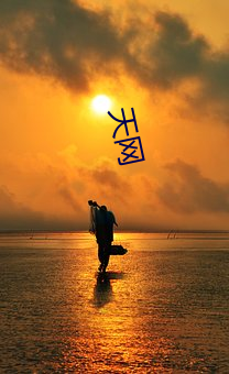 天(tiān)网(wǎng)