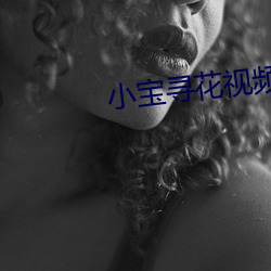 小宝寻花视频