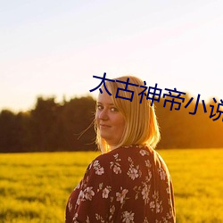 太古神帝小说 （枕巾）