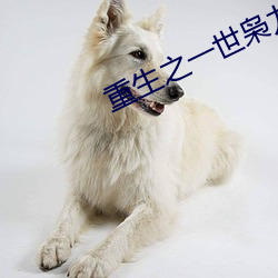 重生之一(一)世枭(枭)龙全文免费(費)阅(閱)读(讀)