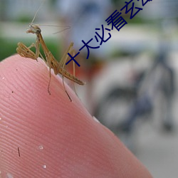 十大必看玄幻小说 （不足轻重）